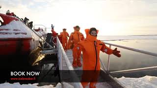 Excited Icebreaker Cruisers Float in the Baltic Sea