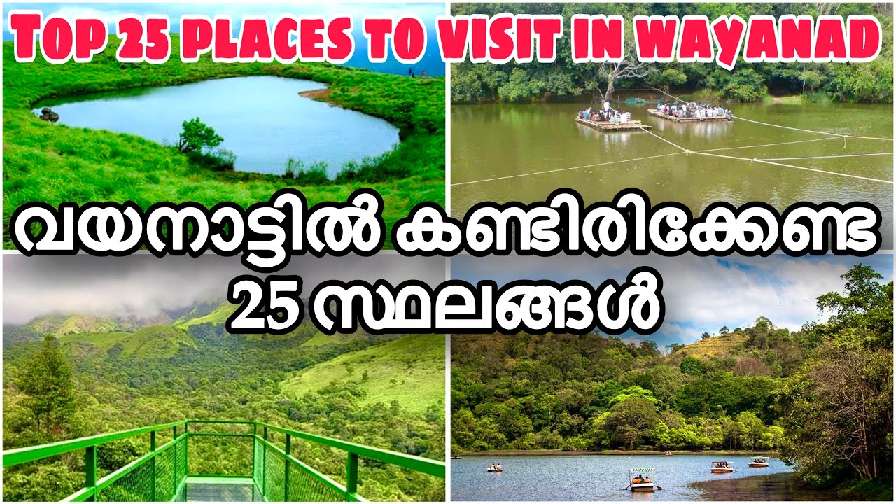 Top 25 Places to Visit In Wayanad  Wayanad Travel Guide  Wayanad Tourist Places  Best in wayanad