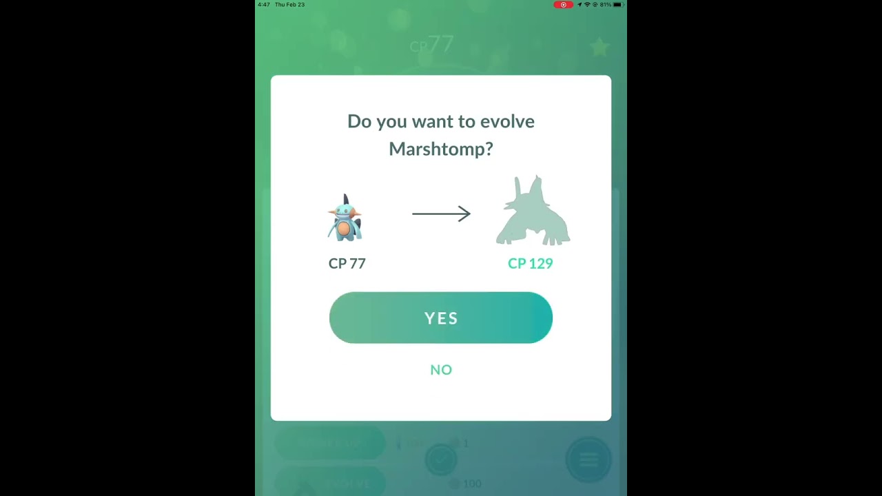 Evolving a Mudkip to Swampert - Pokémon go