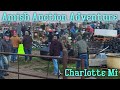 Auction Adventure in Charlotte Mi! HUGE Amish Auction! 1,000+  People & 4 Rings! An AMAZING Auction!