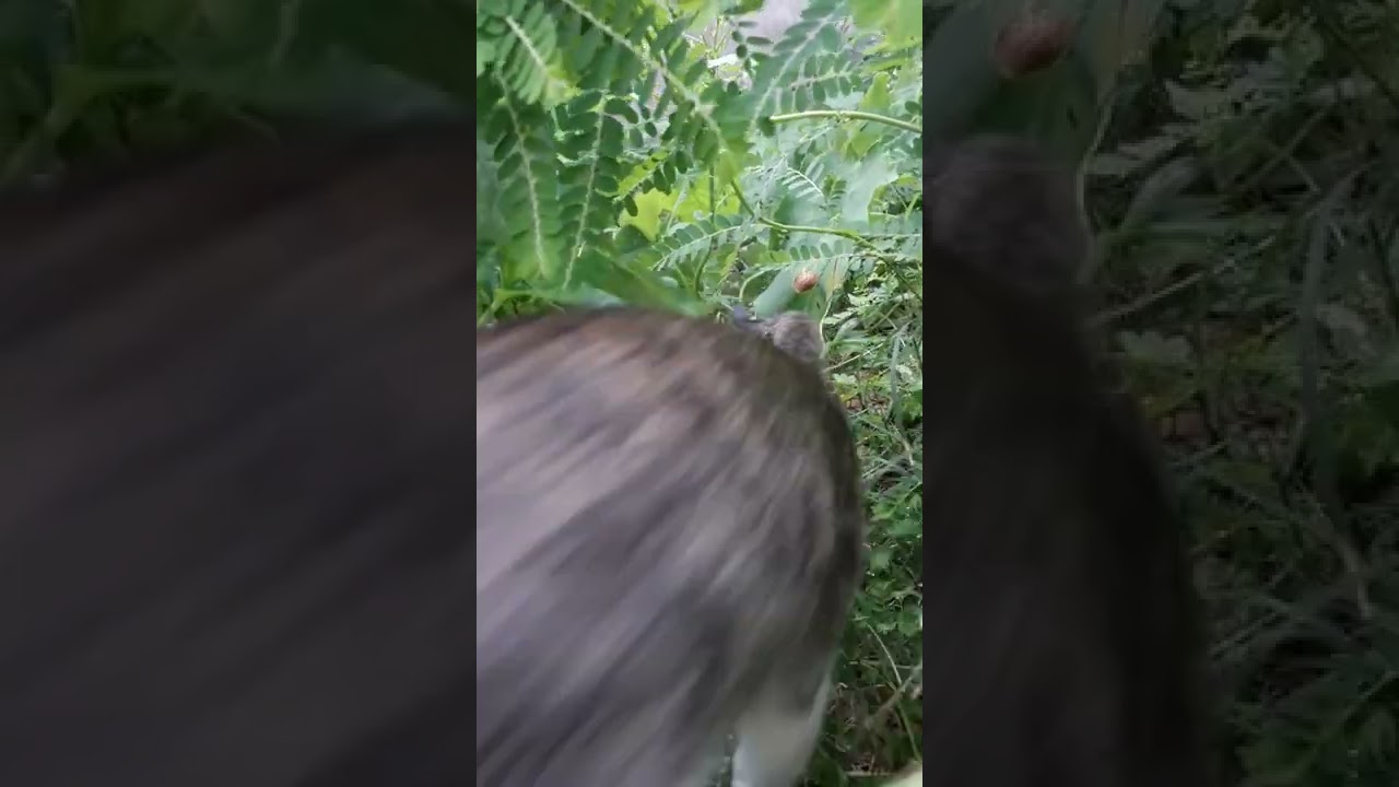 fall in love with nature....