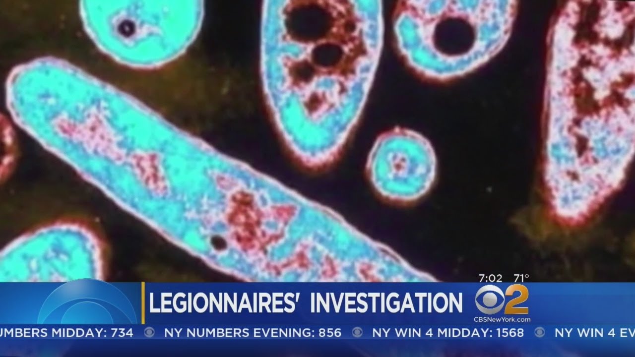 Legionella Bacteria Found In Bronx Hospital Water Supply YouTube