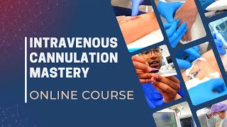 IV Cannulation Mastery | #anesthesia #anesthesiology #medicalstudent  #medical #nursing #shorts