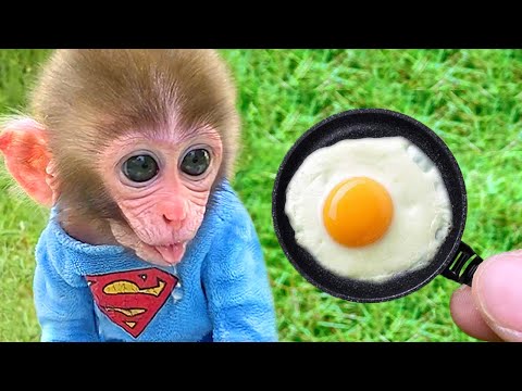 Baby Monkey BonBon Frying Egg and Lovely Meeting with Cute Rabbit in the Garden - BonBon Farm