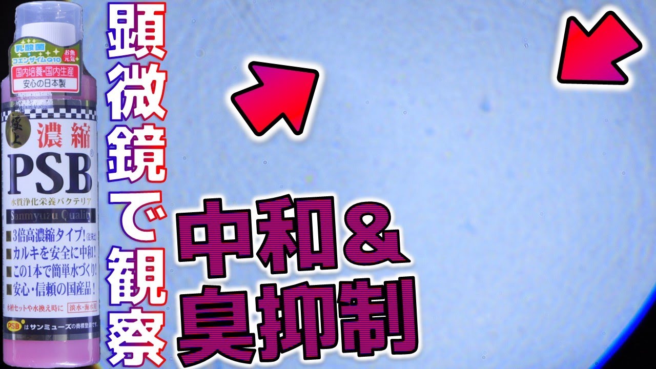 PSB】硫黄臭を軽減させた塩素が抜ける濃縮版。乳酸菌入りだから腸内 