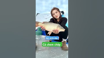 gái xinh câu cá chem chép ở bắc cực câu luôn được con tôm hùm và cái kết  #fishing #short #cauca
