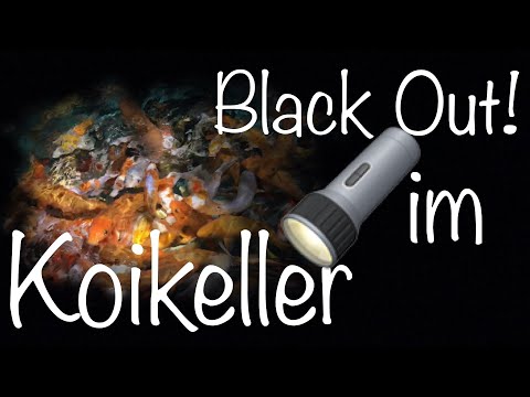 Das Kleine Chaos Video