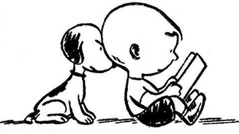 How to Complete Perusall Assignments