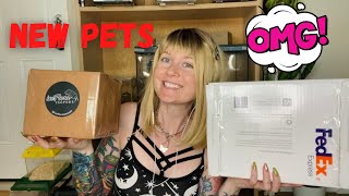 Unboxing New Pets!