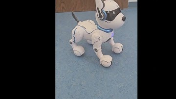 Ziggy Robot Dog Commands 