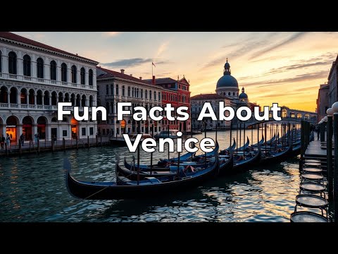 Fun Facts About