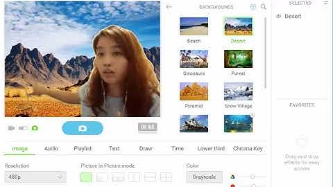 How to fix the background in manycam