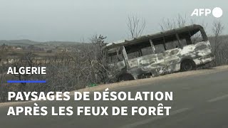 Algérie, des paysages de désolation après les feux de forêt | AFP