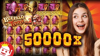 BUFFALO TORO (ELK STUDIOS) 💥 WORLD RECORD 50,000X MAX WIN! screenshot 4