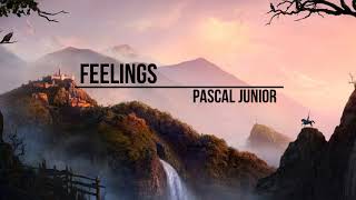 Pascal Junior - Feelings (Afgo Remix)