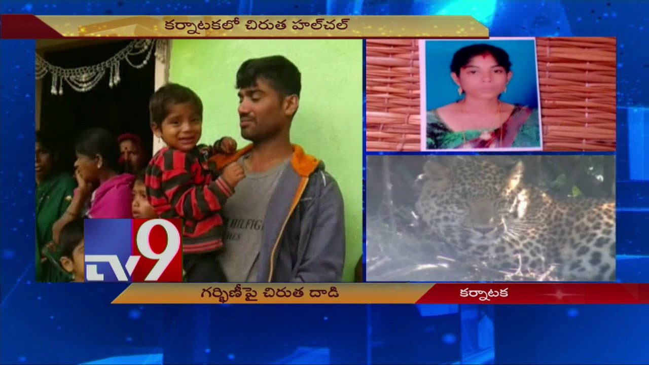 Download Leopard kills pregnant woman in Karnataka - TV9
