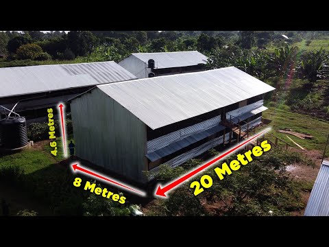 How I Built the BEST, CHEAPEST Chicken House EVER!