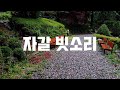 자갈 빗소리 - 잠 잘오는 백색소음, 수면유도 ASMR