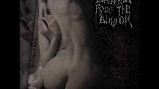 Screaming From The Oblivion - Dreamer