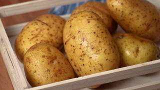 Comment conserver les pommes de terre dans la terre ?