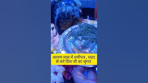 सावन में करे शमी पत्र और शहद का यह अचूक उपाय #shivpuran #mahadev #bholenath #pradeep #viral #shorts