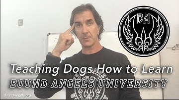 Teaching Dogs How to Learn -  Bound Angels University 9/2016