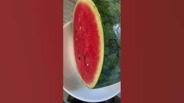 Ngon lắm đó #shorts