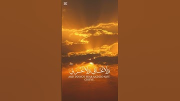 🌿القران الكريم🌿القارئ ياسر الدوسري🌿