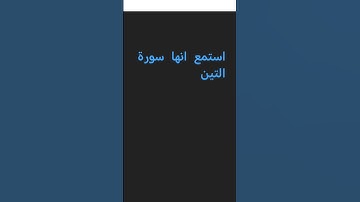 سورة التين#الشيخ /محمد البراك