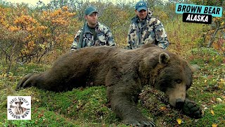 Challenging for Giant Brown Bear in Remote Alaska