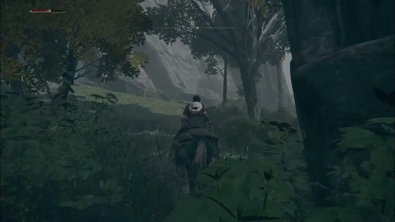 Elden Ring screen flickering YouTube