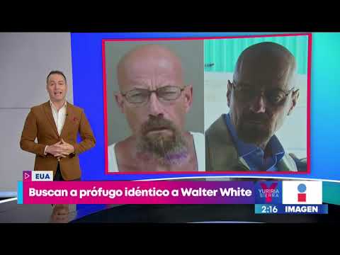 La Policía busca a un prófugo idéntico al personaje de Walter White | Noticias con Yuriria Sierra milenio tv youtube