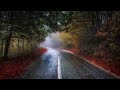 Relaxing Sleep Music &amp; Soft Rain Sounds -  Peaceful Piano Music for Insomnia, Sleeping and Studying