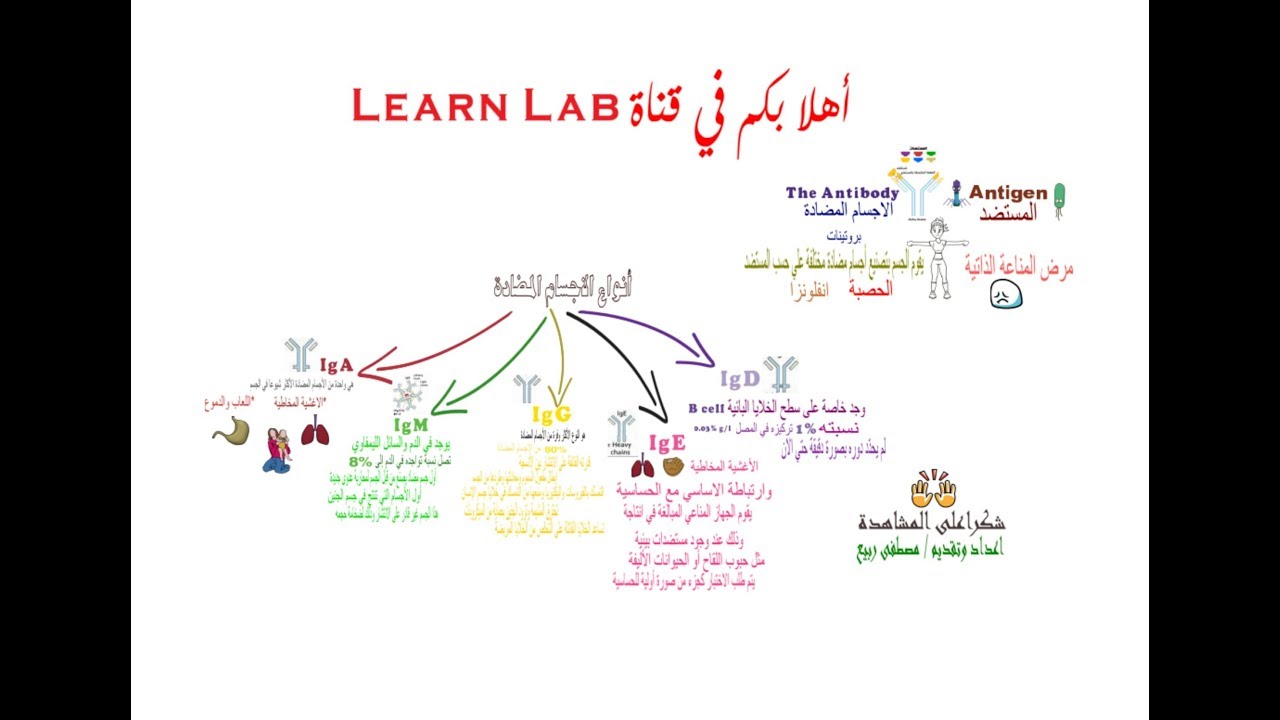 ما هي الاجسام المضادة وانوعها وخصائصها Antibodies