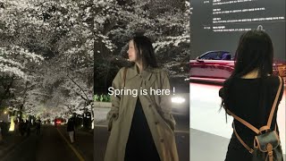 벚꽃구경 시크릿스팟• 2025 모빌리티쇼 벤틀리, 포르쉐, 벤츠 시승• 쿠에른 발레코어 플렛슈즈 언박싱• 맛집 도장깨기