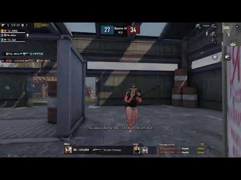 PINGVINEBI • პინგვინები  კლასიკში ბურდღნაობენ