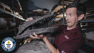 Five recordbreaking fossils at Royal Tyrrell Museum