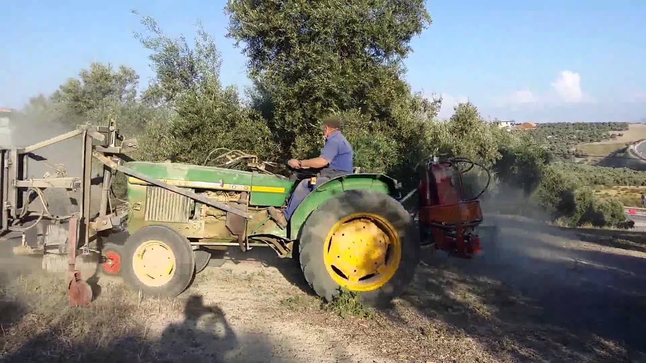 Ahiladora Checa para aceituna y frutos secos