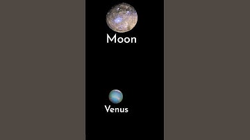 Moon & Venus 25/03/23 🌙⭐ #shortsfeed #shorts #moon #venus