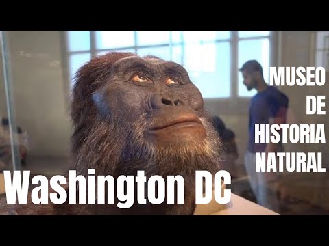 Video: Explorando el Museo de Historia del Estado de Washington