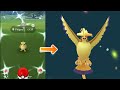 Shiny Pidgey in the wild evolves into Mega Pidgeot. New Mega Energy!