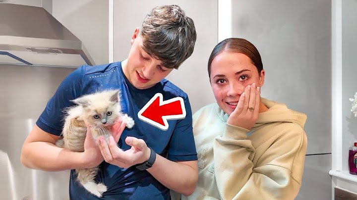Surprising My GIRLFRIEND With Her DREAM Pet!