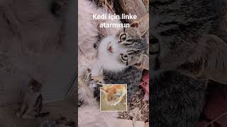 5 Oktyabr 2025