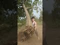 🌲🌳💪👊 #shortvideo