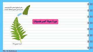 دورة حياة السرخسيات