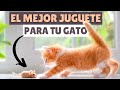 ¿Cuál es el MEJOR JUGUETE para gatos?