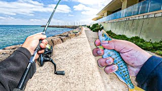 Fishing Melbourne’s Most Overfished Rockwall for a Day