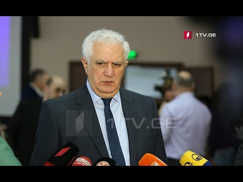 ამირან გამყრელიძის კომენტარი - საქართველოს მოქალაქეები იტალიიდან დაბრუნეს