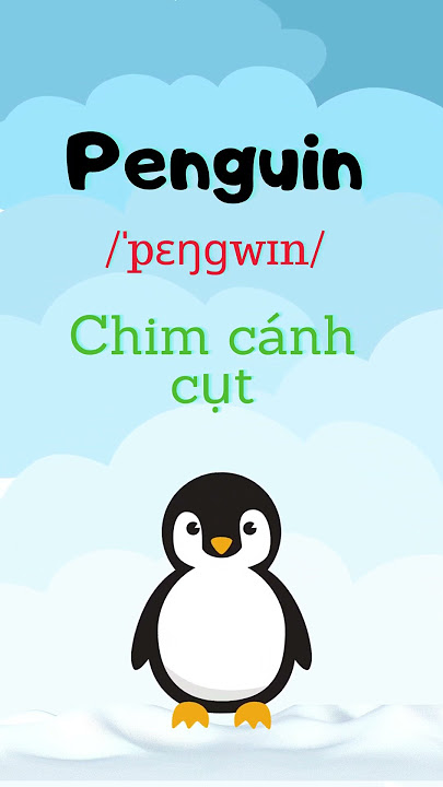 Chim cánh cụt, tiếng anh là gì - English Flash cards #shorts