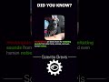 Mockingbirds 🐦#shorts #science #facts #knowledge #learning #education